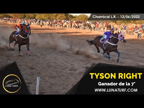 HIP. "EL QUEBRACHAL" CHAMICAL L.R. || 12/06/2022 ::  TYSON RIGHT; DAISUKE