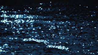 Cover art for Sparkling Sea 8