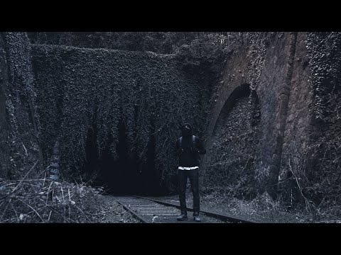 Mutant Shiba Club - do you see me ( inspired Alan Walker clip ) by #attilazz | MSC