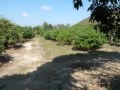 Preper S Land 2012 Wmv