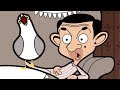 Bird Bean Funny Episodes Mr Bean Cartoon World