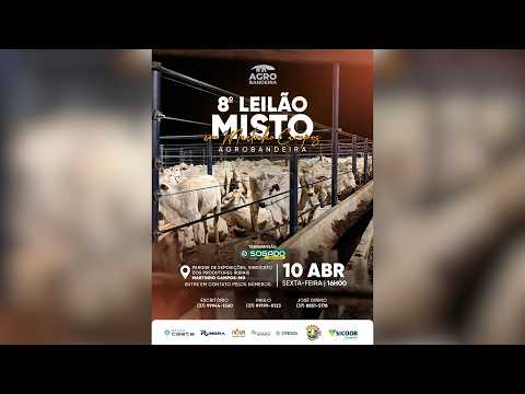 8º LEILÃO AGRO BANDEIRA E SINDICATO DE MARTINHO CAMPOS/MG - 10/04/2026