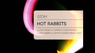 Giom - Hot Rabbits (Spiritchaser Remix)