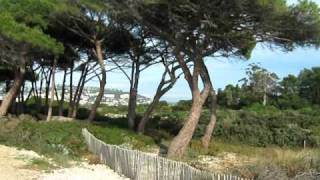 La spiaggia ed i boschi alle Isole di Lérins Cannes Hotel Lucciola