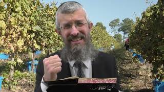 מסכת נזיר דף נו  - 8 דקות של לומדות ועמקות בדרך הלימוד הישיבתית [nazir 56]
