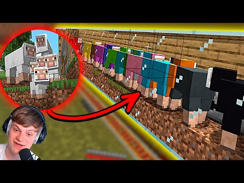 NEMMESTE ULD FARM - Minecraft: Ep 14 (Sæson 2)