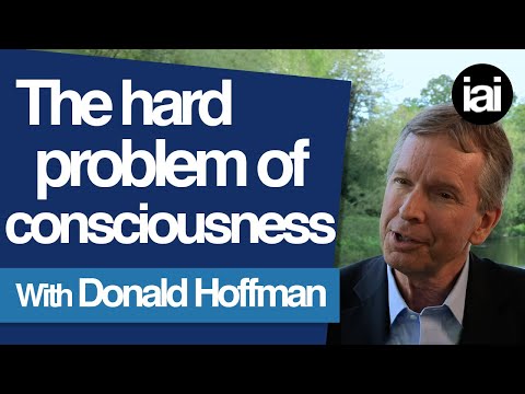 The Hard Problem of Consciousness | Donald Hoffman