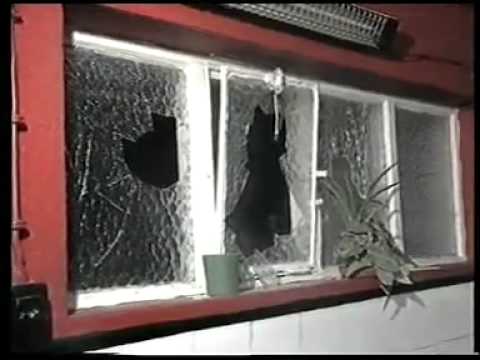 Penafiel vs FC Porto 1991 1992