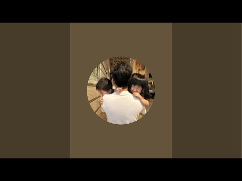 每日金字塔EP242