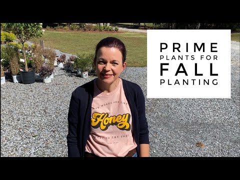 Prime Plants for Fall Planting // Gardening with Creekside