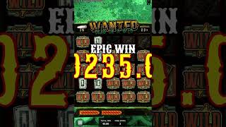 big win on wanted or Wild