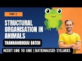 Frog  | Structural organisation in Animals | Part 3 | TB 2024