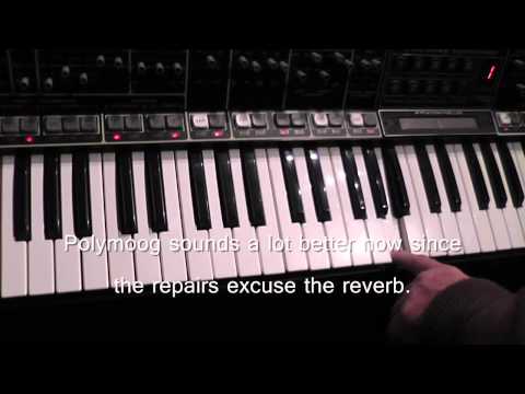 polymoog repair video