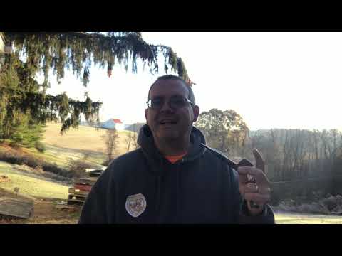 Dunhill /Peterson Flake