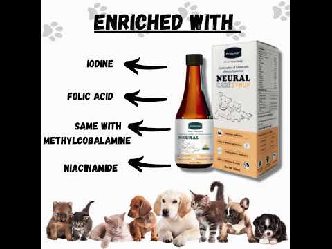 Neural Care Syrup- Aniamor- S - Adenosyl- L- Methionine Syrup- 200ml