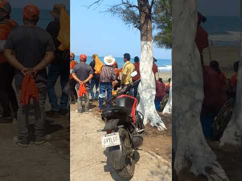 buscando a mis compañeros caminata palma sola alto lucero veracruz México Elena Cordoba