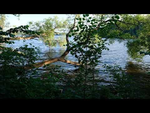 A Kurdish song by Amanj Azarmi- Landscap: Stockholm