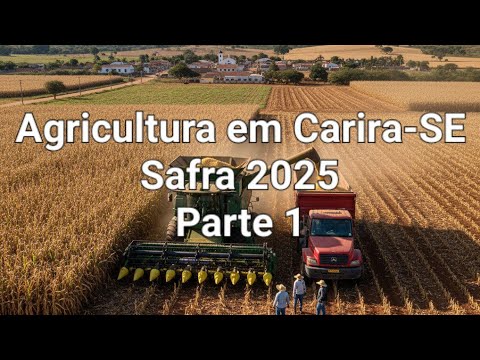 Agricultura em Carira-SE, Safra 2025