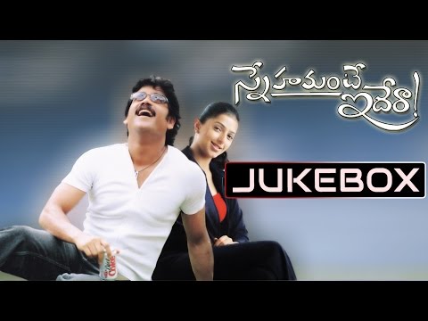 Snehamante Idera Telugu Movie Songs Jukebox || Nagarjuna, Bhoomika