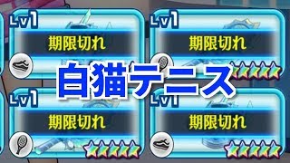 白猫テニスやるだけ