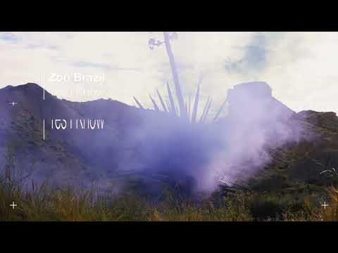 Zoo Brazil - Yes I Know