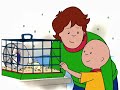 Caillou EPISODE 27 CAILLOU HELPS OUT