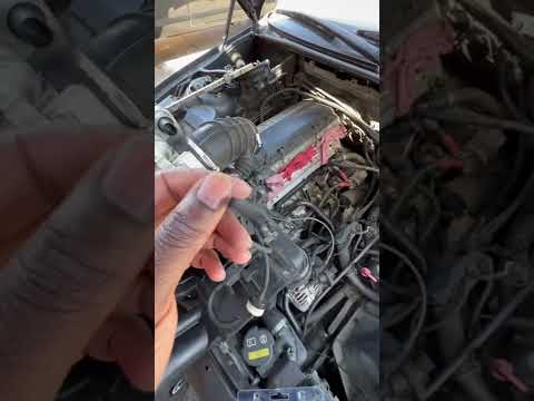 BMW vacuum hoses! #shorts #bmw #e46 ￼