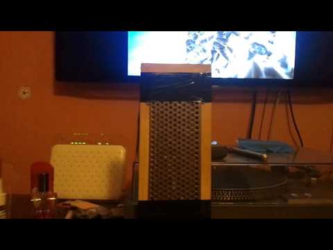 Push Pull Magnetostat speaker (test)