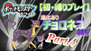 チョロネコ ポケットモンスター メルメタル テッポウオ モクロー