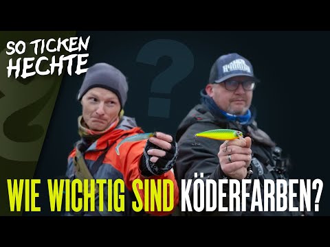 Color duel when fishing for pike! 🎨 This is how pike tick!