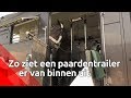 Zo ziet een luxe paardentrailer er van binnen uit