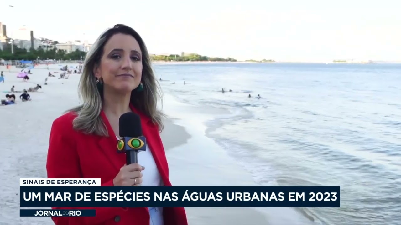 Volta de espécies raras e praias limpas no Rio em 2023