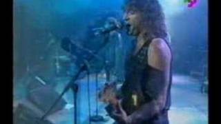 Sau - La cançó de la noia de l'altre cantó del bar