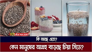 কেন মানুষের আগ্রহ বাড়ছে চিয়া সিডে? কি আছে এতে? Healthy Food Chia seeds