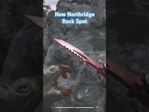 New Insane Camping Spot for Northridge | Arena Breakout Infinite