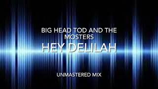 Big Head Todd And The Monsters - Hey Delilah (unmastered mix)