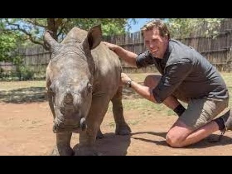 Freeks wilde wereld   De witte neushoorn