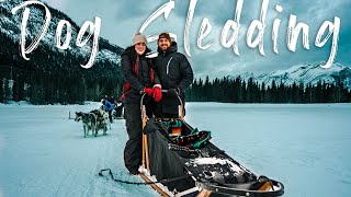 Dog Sledding BANFF ALBERTA || We MET A MOVIE STAR!