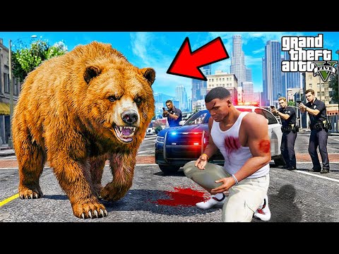 Franklin Trying To Catch Big Hungry Wild Bear in GTA 5 | SHINCHAN and CHOP