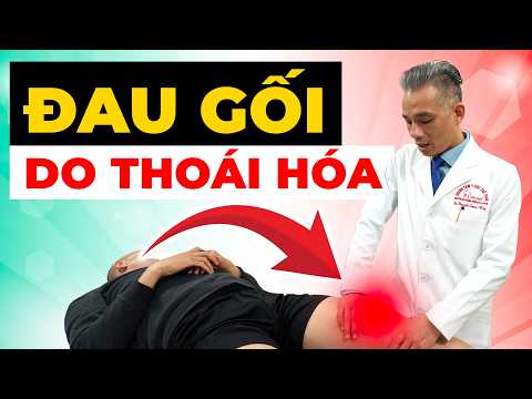 Thoái Hóa Khớp Gối Do Quá Tải: Càng Cố Đi Lại, Bạn Càng Đau Nặng Hơn!
