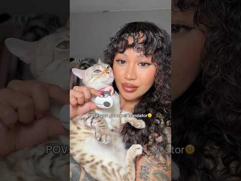 probably the best investment i ever made😳 #relatable #Pettichat #catlover #petparents #catlife