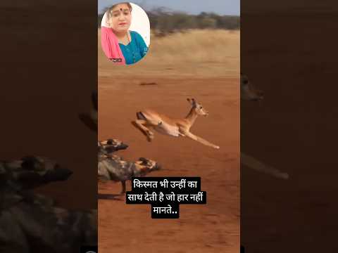 हौसला न छोड़ कर सामना जहान का # inspiration #love #viral # ytshort # #youtuberchannel #pratimasinha🙏