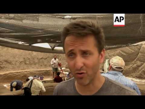 Archaeological dig sheds light on origins of Philistines