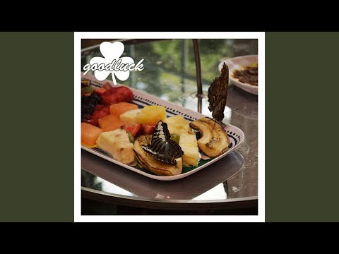 Mayflies - Goodluck