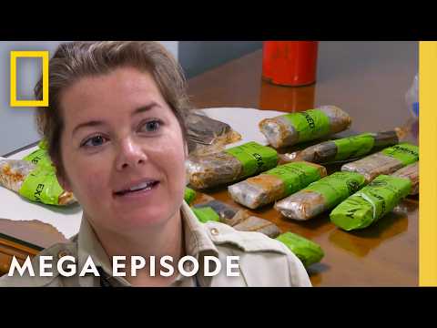 To Catch a Smuggler: Cocaine, Meth & 'Crazy Pills' | MEGA EPISODE