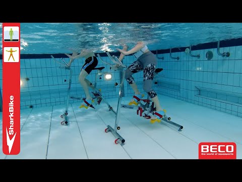 BECO SharkBike Workout