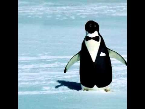 الرأس aka السيّد و مونما {البطريق}