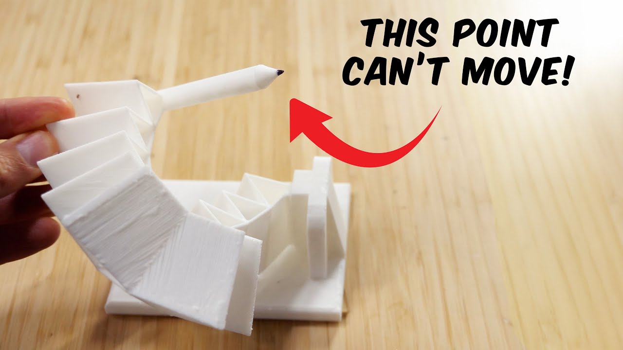 Chickens Are Weirder Than You Thought