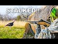 GOBBLER At 10 YARDS Hunting By HAUNTED HOUSE
