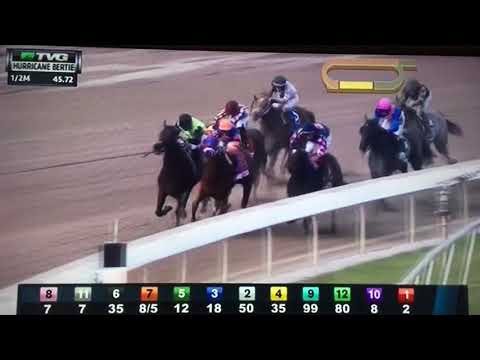 HURRICANE BERTIE (G 3) STAKES 1/27/18 - JORDAN'S HENNY !!!